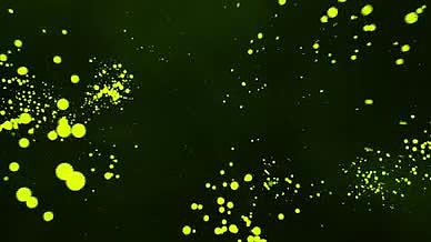 绿色树林荧光特效视频的预览图